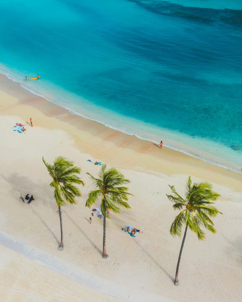 A vibrant tropical beach scene with people, palms, and turquoise waters from above.