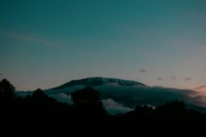 paul-musyoka-WSssjF2_Gj8-unsplash